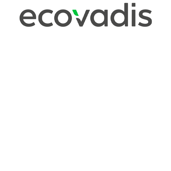 2025-ecovadis